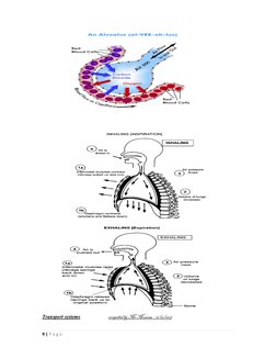 9 | P a g e  
                  
 
 
 
 
                       
 
             
 
Transport systems                      com