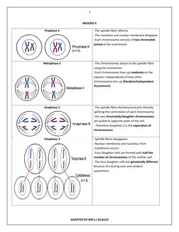 Grade 12 Meiosis Overview and Notes | PDF | Meiosis | Chromosome