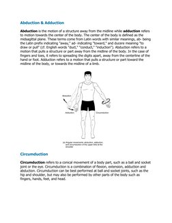 Key Anatomical Body Movements | PDF | Anatomical Terms Of Motion ...