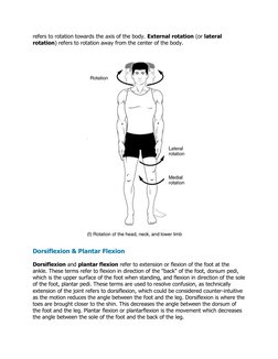 Key Anatomical Body Movements | PDF | Anatomical Terms Of Motion ...