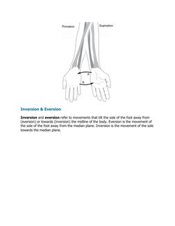 Key Anatomical Body Movements | PDF | Anatomical Terms Of Motion ...