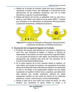 DIRECTIVA Nº 50-23-01-01/XXX-2022
c. Debajo de la bomba de aviación, parte dos rayos cruzados que
representa, el poder trueno