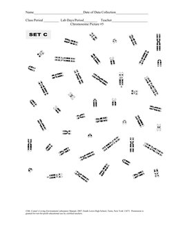 Karyotyping Worksheet.pdf Human Karyotyping Lab Activity | PDF | Karyotype | Chromosome