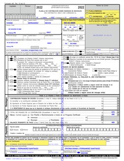 I.
¿Se acoge a la contribución opcional (Sec. 1021.06 del Código)? (Someta Anejo X Ind.)
J.
¿Reporta el resultado de las oper