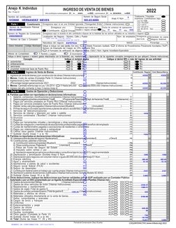 Año contributivo comenzado el _____ de _____________ de _____  y terminado el _____ de_____________ de _____
Nombre del contr