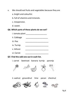 Grade 2 Science Revision Worksheet | PDF | Fruit | Vegetables