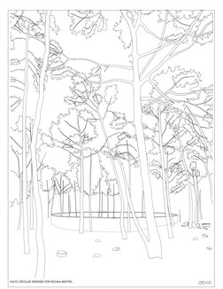 VACIO CIRCULAR DISEÑADO POR ROZANA MONTIEL
