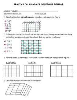 PRACTICA CALIFICADA DE CONTEO DE FIGURAS
APELLIDOS Y NOMBRE: _____________________________________________________     
 GRAD