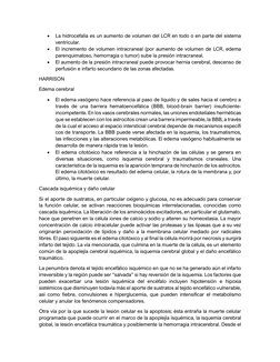 • 
La hidrocefalia es un aumento de volumen del LCR en todo o en parte del sistema 
ventricular.  
• 
El incremento de volume