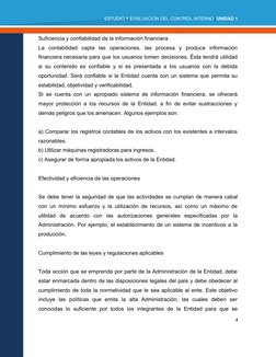 Estudio y Evaluación del Control Interno | PDF | Auditoría | Bancos