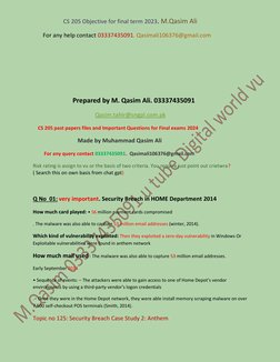 CS 205 Final Term MCQs 2023 | PDF | Business | Technology & Engineering