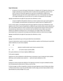 Papel milimetrado
-
Al observar la muestra del papel milimetrado en el objetivo de 3.2x logramos observar una
imagen reducida
