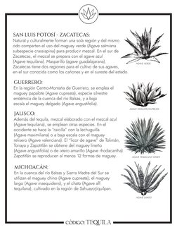 SAN LUIS POTOSÍ - ZACATECAS:
Natural y culturalmente forman una sola región y del mismo 
odo comparten el uso del maguey verd