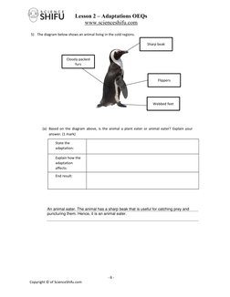 Psle Ws p6 Adaptations Lesson 2 Oeqs On Adaptations | PDF | Adaptation ...