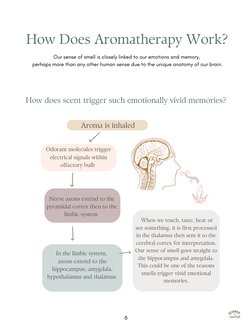 How Does Aromatherapy Work?
Our sense of smell is closely linked to our emotions and memory, 
perhaps more than any other hum