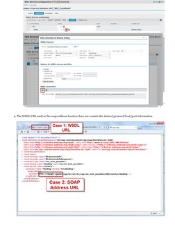 Fixing WSDL URL in SOAMANAGER | PDF | Proxy Server | World Wide Web