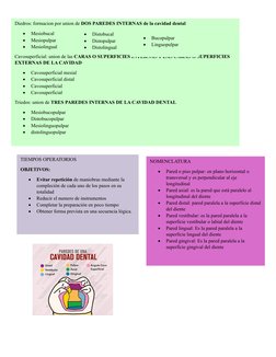 Diedros: formacion por union de DOS PAREDES INTERNAS de la cavidad dental 

Mesiobucal        

Mesiopulpar

Mesiolingual