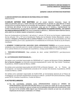 Amparo Indirecto por Orden de Aprehensión | PDF | Violación | México