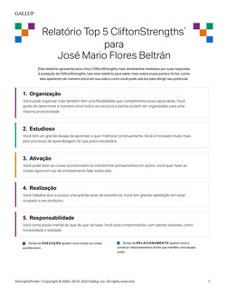 1. Organização 
Você pode organizar, mas também têm uma flexibilidade que complementa essa capacidade. Você 
gosta de determi