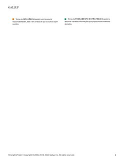 Temas de PENSAMENTO ESTRATÉGICO ajudam a 
absorver e analisar informações que proporcionam melhores 
decisões. 
 Temas de IN