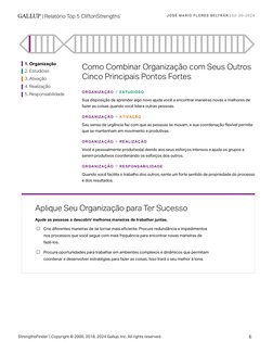 1. Organização 
2. Estudioso 
3. Ativação 
4. Realização 
5. Responsabilidade 
Como Combinar Organização com Seus Outros 
Cin