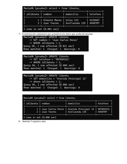 Manejo de Sentencias DDL y DML en SQL | PDF | SQL | Bases de datos