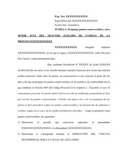 Exp. Nro. XXXXXXXXXXXX   
Especialista Jud. DraXXXXXXXXXXXX
Escrito Nro. Correlativo
SUMILLA: Propongo puntos controvertidos