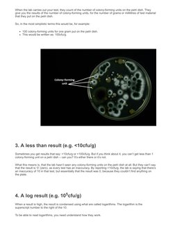 Cfu Test Lab Report.pdf Understanding CFU in Micro Lab Reports | PDF | Colony Forming Unit