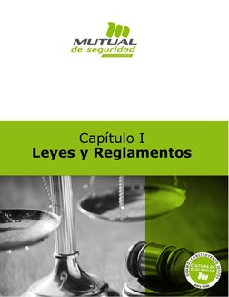 Capítulo I 
Leyes y Reglamentos 
