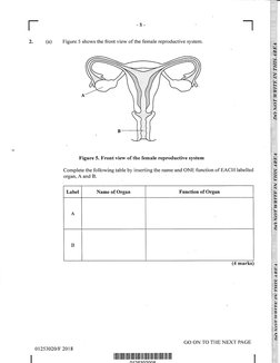 CSEC HSB June 2018 Paper 2 | PDF