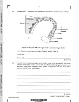 CSEC HSB June 2018 Paper 2 | PDF