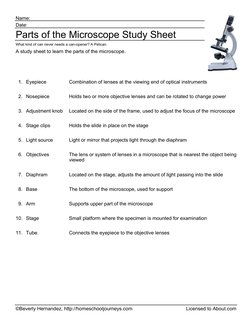 ©Beverly Hernandez, http://homeschooljourneys.com
Licensed to About.com
Name:
Date:
Parts of the Microscope Study Sheet
What 
