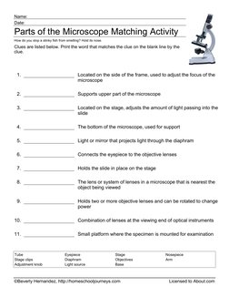 ©Beverly Hernandez, http://homeschooljourneys.com
Licensed to About.com
Name:
Date:
Parts of the Microscope Matching Activity