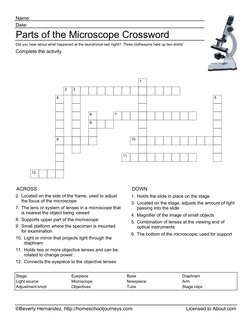©Beverly Hernandez, http://homeschooljourneys.com
Licensed to About.com
Name:
Date:
Parts of the Microscope Crossword
Did you