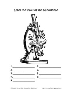 ©Beverly Hernandez, licensed to About.com            http://homeschooling.about.com 
Label the Parts of the Microscope 
1.___