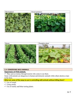 Grade 5 Agriculture: Soil & Water Conservation | PDF | Mulch | Vegetables