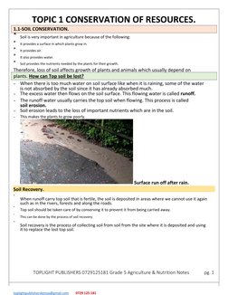 Grade 5 Agriculture Teaching Notes | PDF | Mulch | Soil