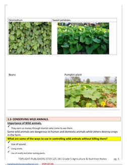 Grade 5 Agriculture Teaching Notes | PDF | Mulch | Soil