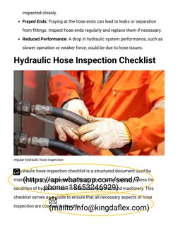 Hydraullic Line Inspection Hydraulic Hose Inspection Guide | PDF | Leak | Wear