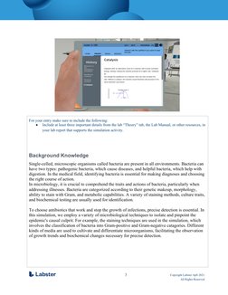 Lab Report - Identification of Unknown Bacteria - Updated | PDF ...