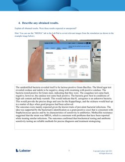 Lab Report - Identification of Unknown Bacteria - Updated | PDF ...