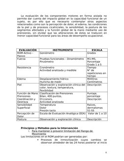La  evaluación  de  los  componentes  motores  en  forma  aislada  no 
permite dar cuenta del impacto global en la capacidad