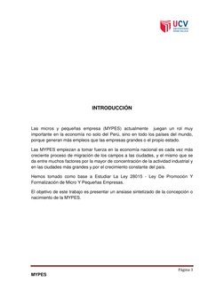 Página 3 
MYPES 
 
 
 
 
 
 
 
INTRODUCCIÓN 
 
Las micros y pequeñas empresa (MYPES) actualmente  juegan un rol muy 
im