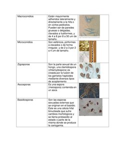 (http://upload.wikimedia.org/wikipedia/commons/6/61/Morelasci.jpg) (http://upload.wikimedia.org/wikipedia/commons/6/61/Morel