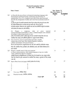 B.Sc. 2nd Year Botany Syllabus 2023 | PDF | Gene | Plant Stem