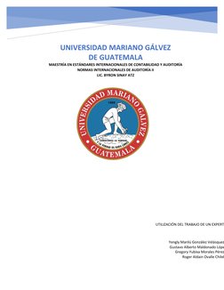 UTILIZACIÓN DEL TRABAJO DE UN EXPERT
Yengly Marilú González Velásquez
Gustavo Alberto Maldonado Lópe
Gregory Yubixa Morales P