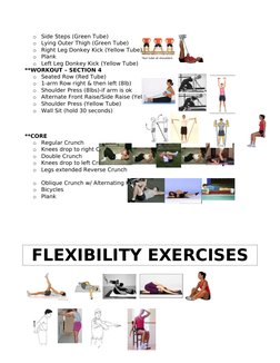 o
Side Steps (Green Tube)
o
Lying Outer Thigh (Green Tube)
o
Right Leg Donkey Kick (Yellow Tube) 
o
Plank 
o
Left Leg Donkey