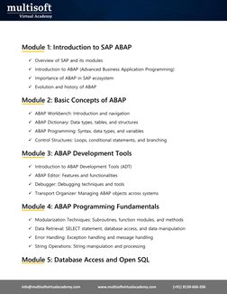 info@multisoftvirtualacademy.com  (mailto:info@multisoftvirtualacademy.com)                   www.multisoftvirtualacademy.c