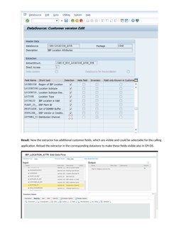 BADI Extractor by Netra | PDF | Computer Engineering | Software Development