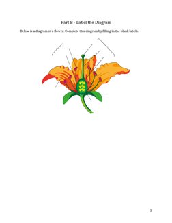 Class 5 Plant Reproduction Worksheet | PDF | Seed | Flowers